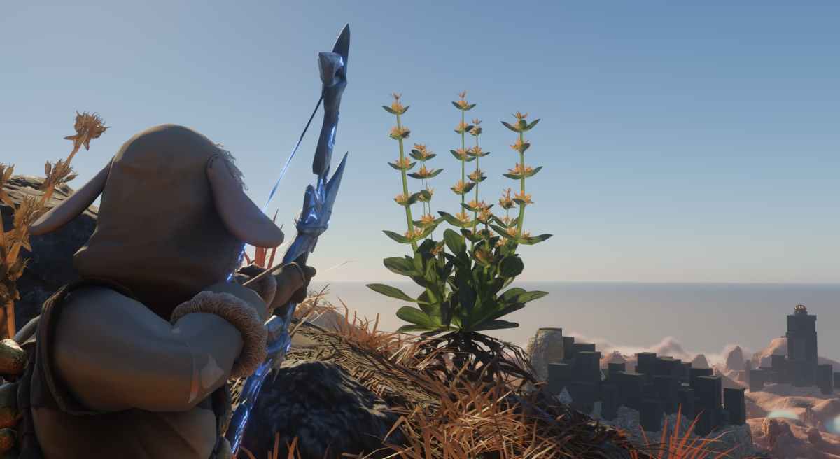 Gentian Guide