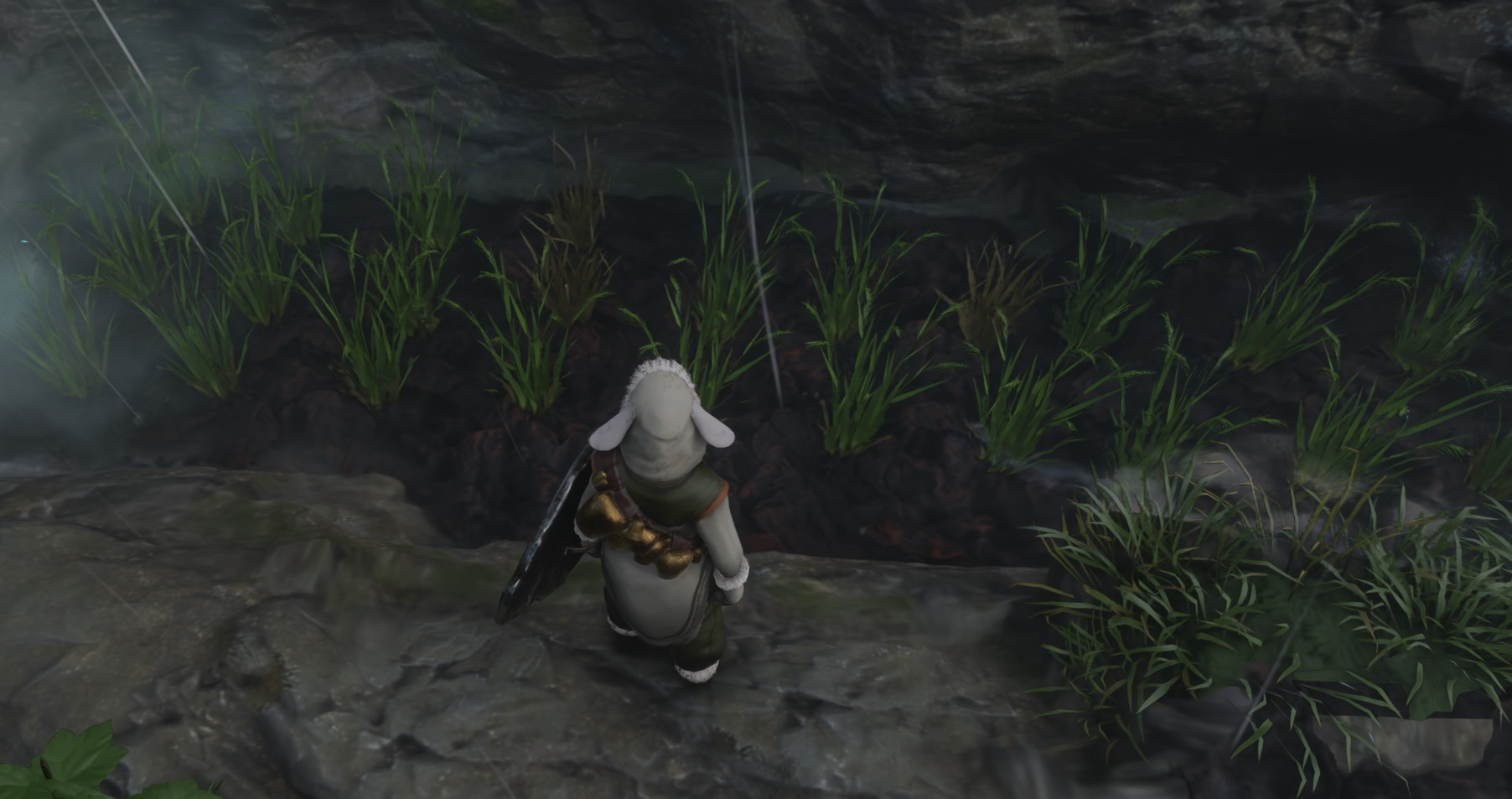 Rice Seedlings